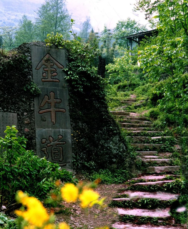 1676867175712299.png image.png