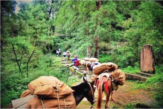 1676867182353956.png image.png