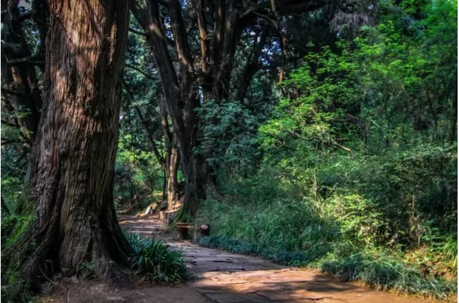 1676867199873052.png image.png